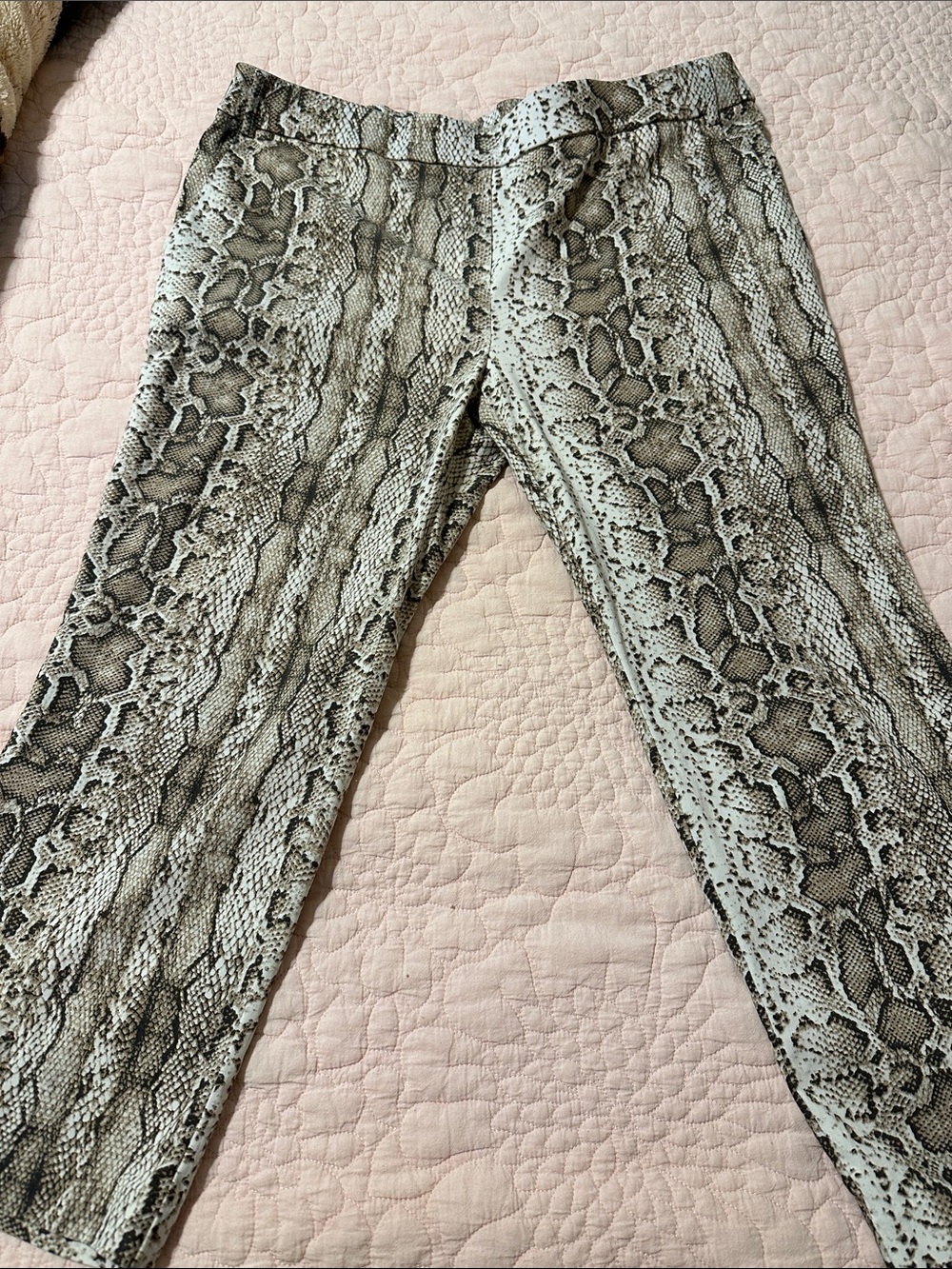 Jules & Leopold Snake Print Ankle Pants in Beige and Brown